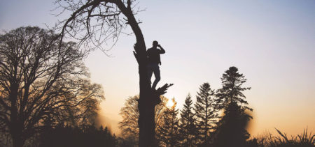 Siluetti ihmisestä, ja seisoo taipuneen puun oksalla auringonnousua vasten.