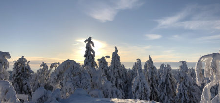 Luminen maisema ja lumiset puut. Aurinko paistaa kuusten takaa.