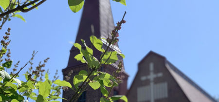 syreenin oksat nupullaan, taustalla Siilinjärven kirkon yläosa