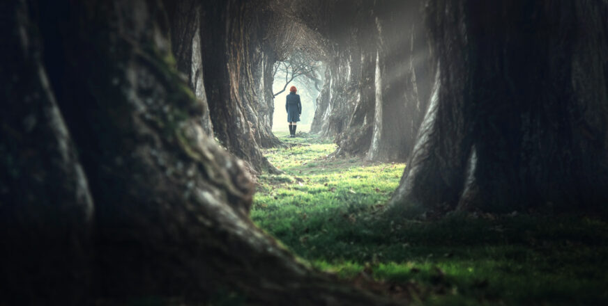 Metsäinen polku, jonka päässä seisoo ihminen.