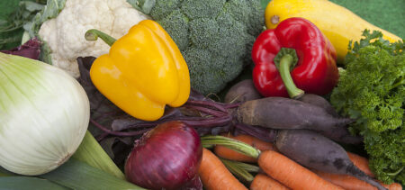 Erivärisiä kasviksia, mm. paprikoita, parsakaalia, porkkanoita, sipuleita.