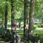 Kuopion ison hautausmaan varjoisaa aluetta, kuvassa kävelee kaksi ihmistä puiden ja hautarivien välissä.