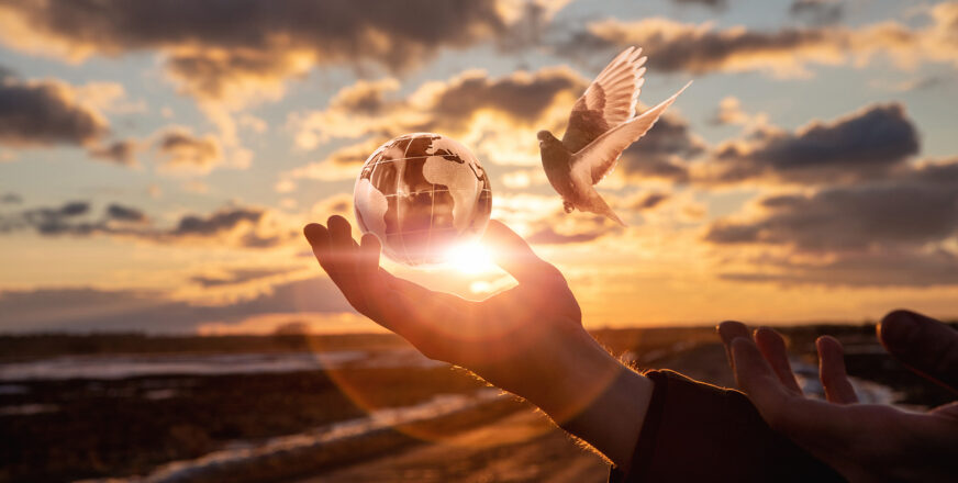 Kämmenellä maapallo, jota kohti lentää kyyhkynen. Aurinko paistaa takaa.