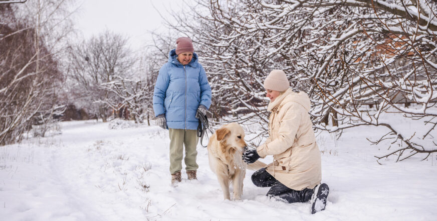 Kaksi ihmistä ja koira lumisella pihalla.