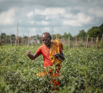 Ikääntynyt aikuinen tekee työtä pellolla.