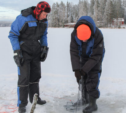 Ihmiset ovat talvella jäällä kalastamassa ja nostavat avannosta verkkoja.