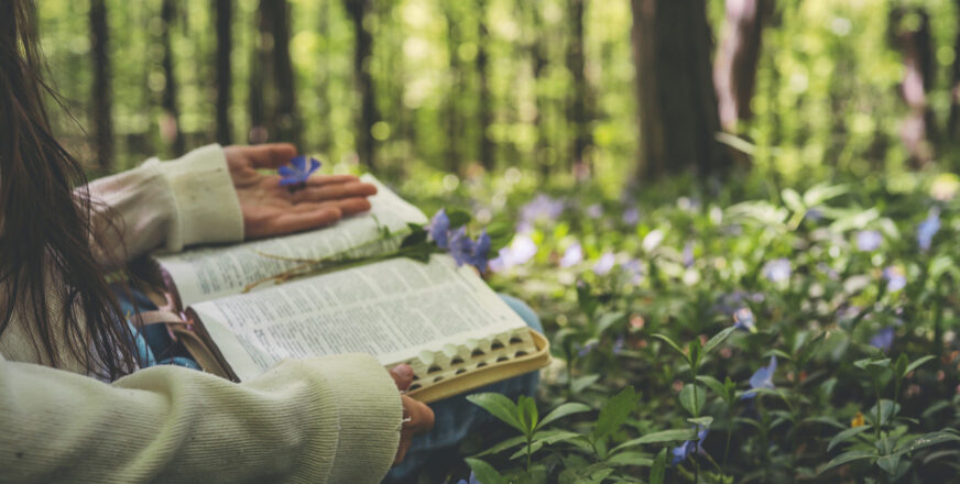 Ihminen istuu keväisessä metsässä, sylissään avonainen Raamattu. Käsi lepää kämmen ylöspäin Raamatun päällä.