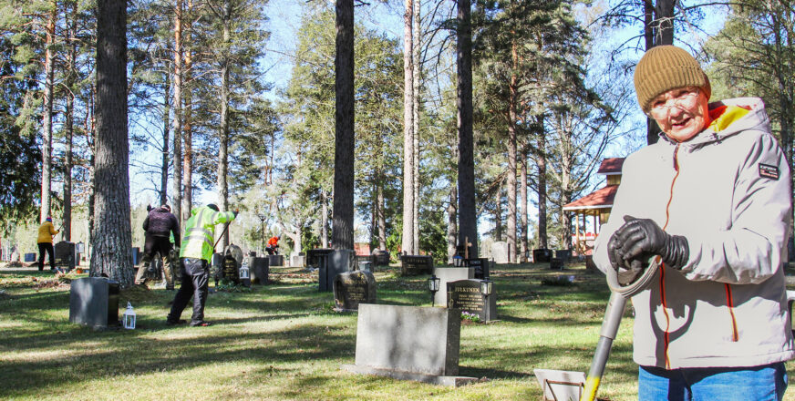 Henkilö nojaa haravaan ja katsoo kameraan, taustalla hautausmaa ja muita vapaaehtoisia.