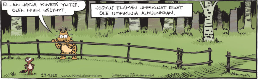 Sarjakuva